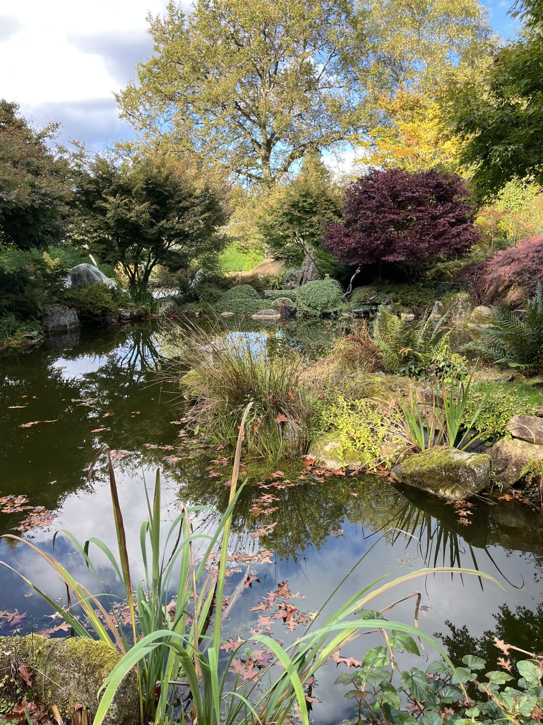 image du projet : Soutien aux familles / aidants de personnes entrant en institution