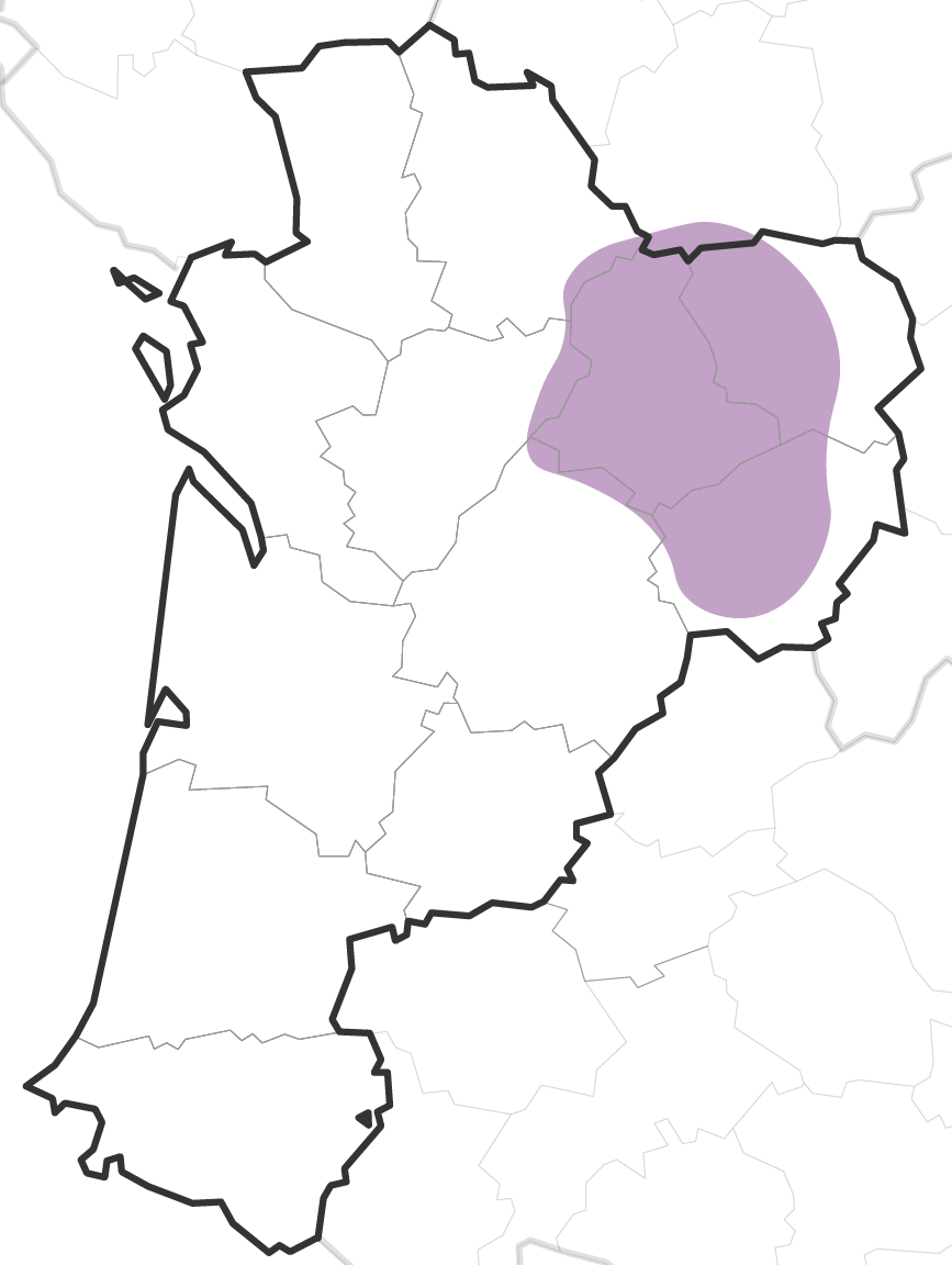 image de l'association